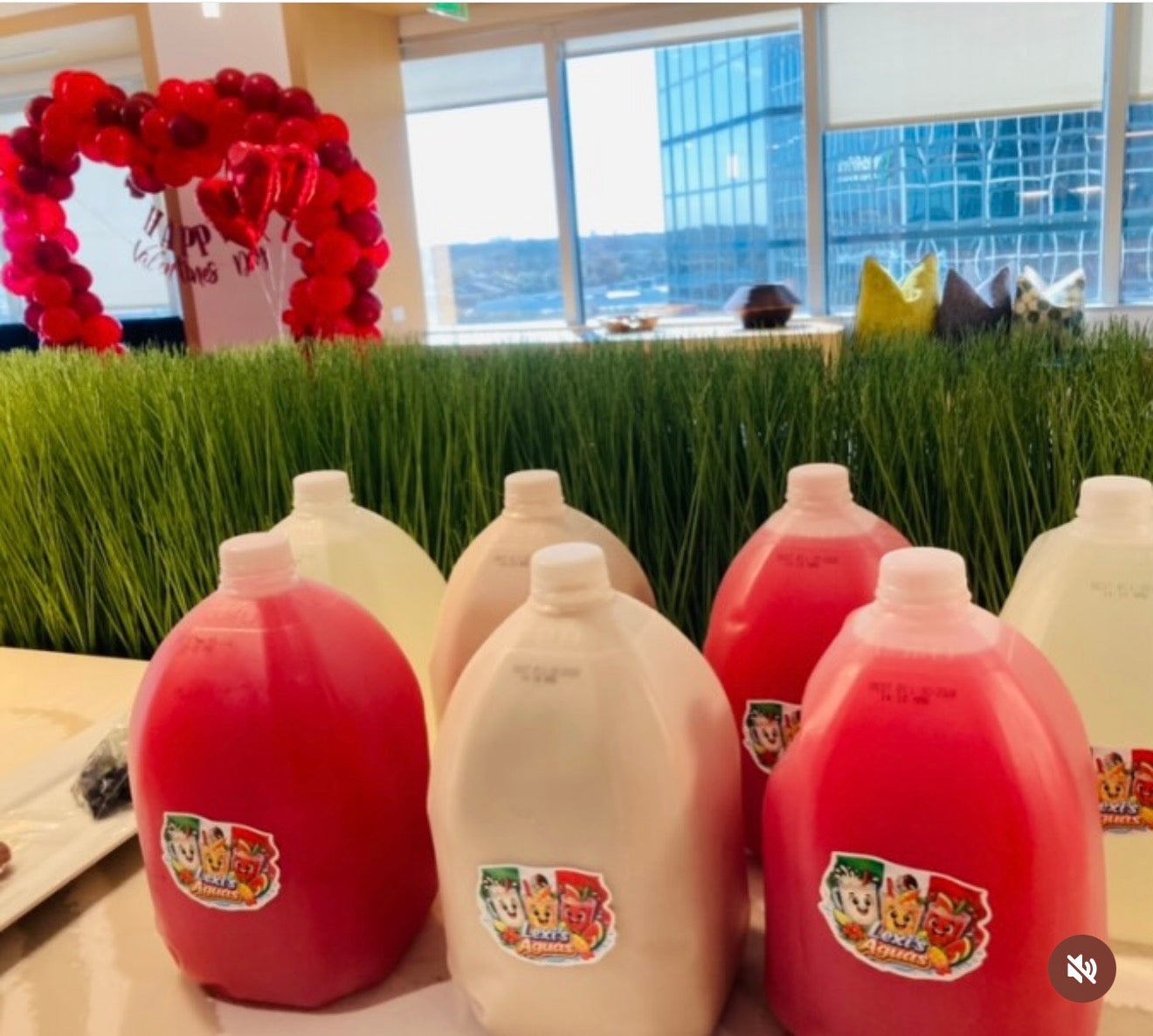 1 Gallon Lexi Horchata Drink